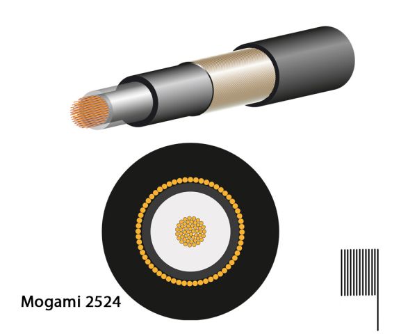 Mogami 2524 Guitar Cable